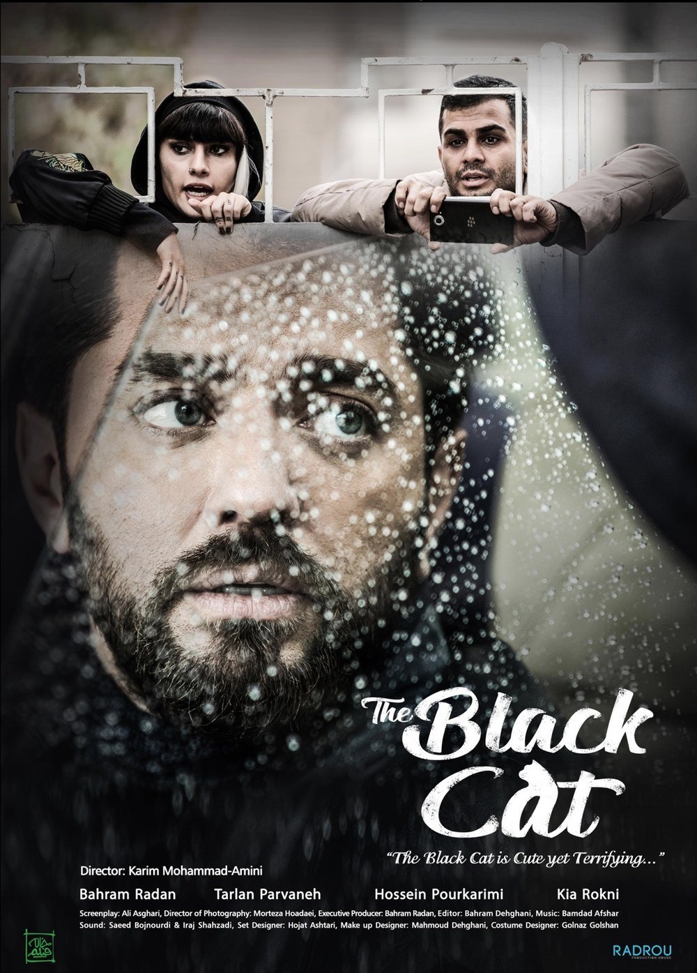 The Black Cat poster